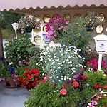 Hotel & Assmann Hochkirch
