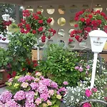 & Assmann Hotel 3*