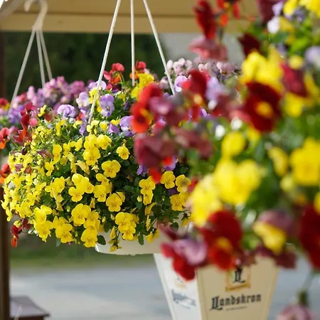 Hotel&pension Aßmann Hotel