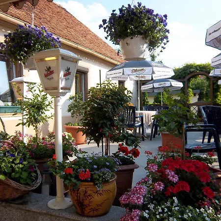 Hotel Hotel&pension Aßmann 3*