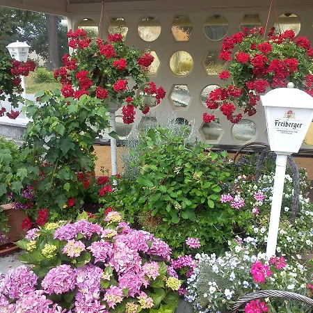 Hotel&pension Aßmann Hotel 3*