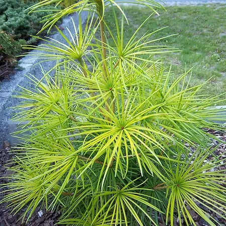 Hotel&pension Aßmann Hotel