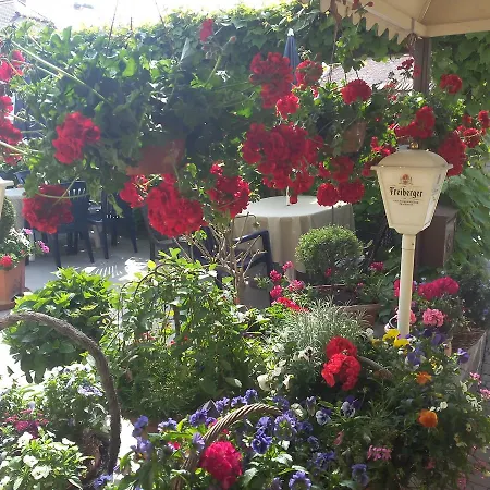 Hotel Hotel&pension Aßmann Hochkirch