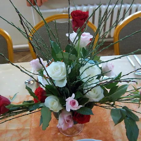 Hotel&pension Aßmann Hotel Hochkirch