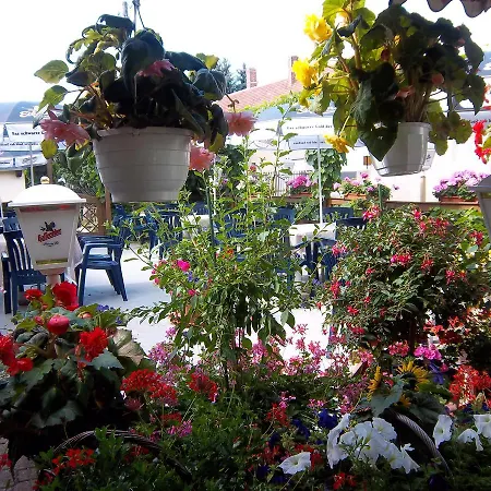 Hotel&pension Aßmann 3*