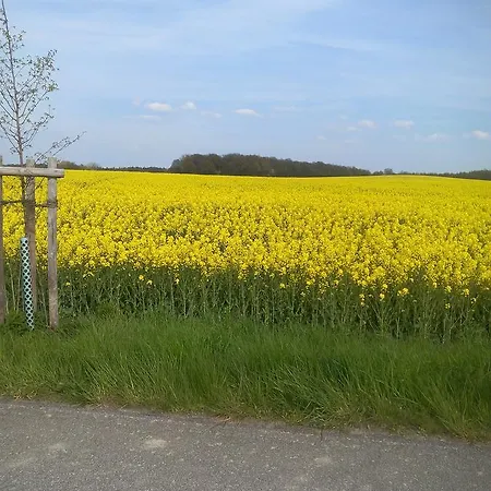 Hotel&pension Aßmann