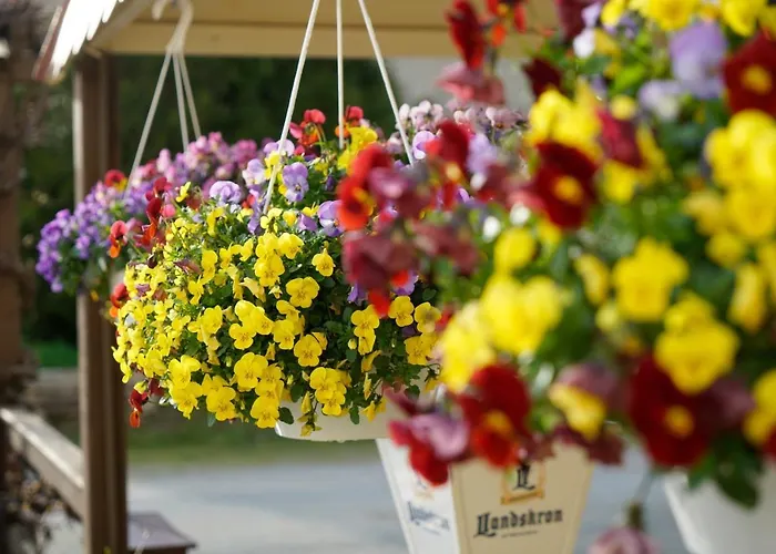 & Assmann Ξενοδοχείο