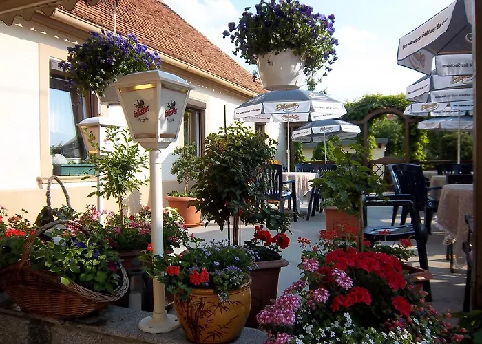 فندق & Assmann 3*