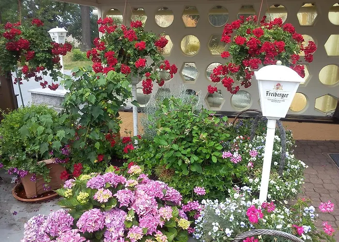 & Assmann فندق 3*