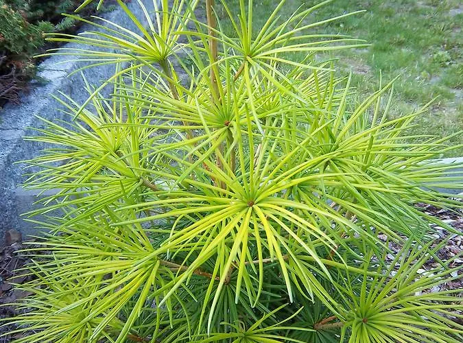 & Assmann Ξενοδοχείο