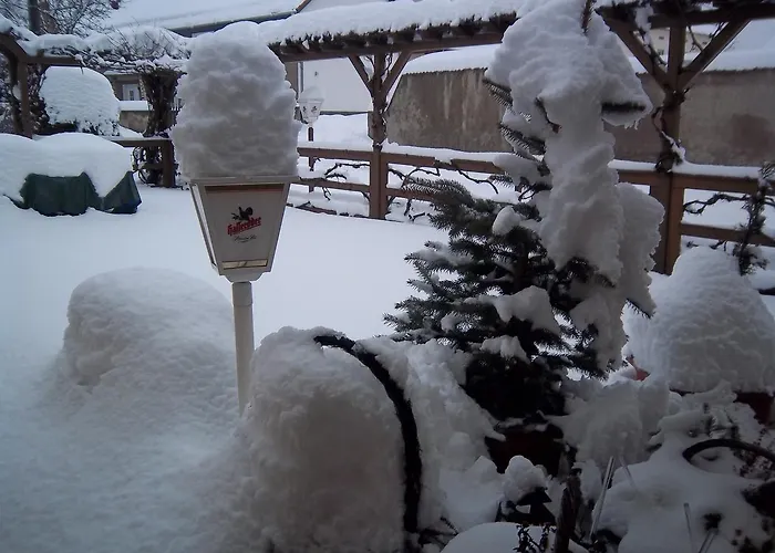 & Assmann فندق 3*