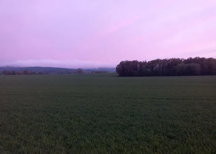 فندق & Assmann 3*